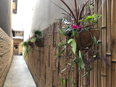 Chez Moi 사진 4