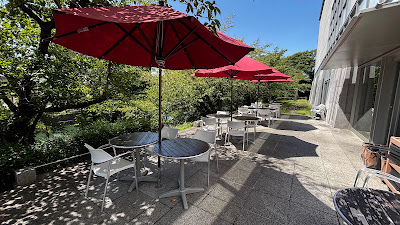 cafe de 505 - The National Museum of Modern Art, Kyoto 사진 5
