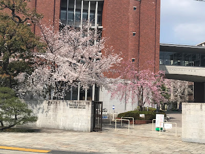 Shinmachi Cafeteria 사진 3