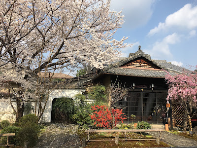 閑臥庵 京懐石普茶料理 사진 4