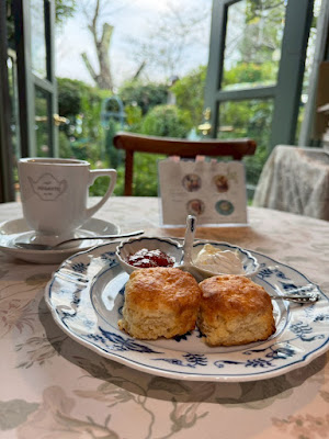 Café Andante 사진 3