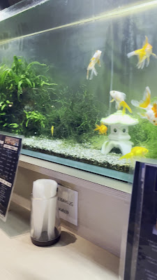 Aquarium Cafe & Bar ZorA 사진 2
