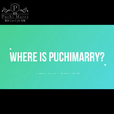 PuchiMarry ぷちまりー京都河原町店 사진 2
