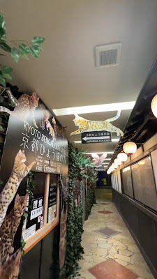 京都ひょう猫の森 사진 2