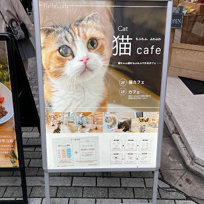 Fluffy's cafe 사진 4