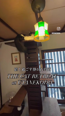 THE CAT RETREAT at UTANEKODO 사진 2