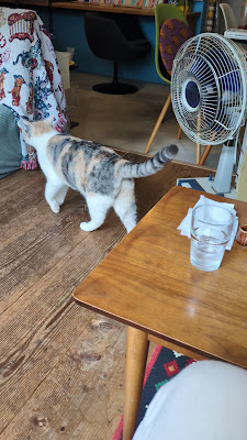 zakka+cafe mogamoga 사진 2