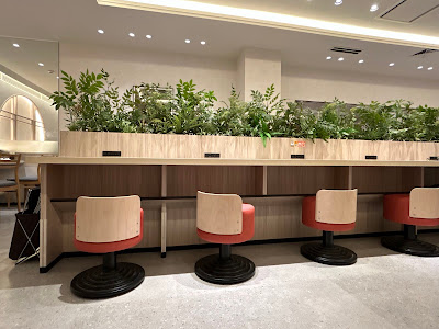 Doutor 사진 3
