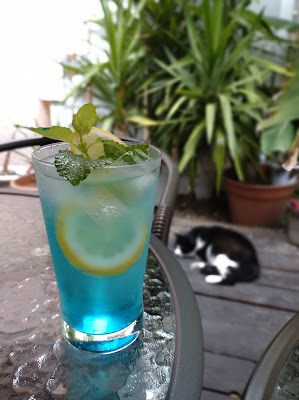 ねことバナナの木 사진 5