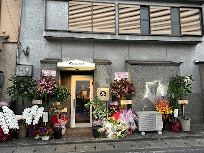 Nicolo