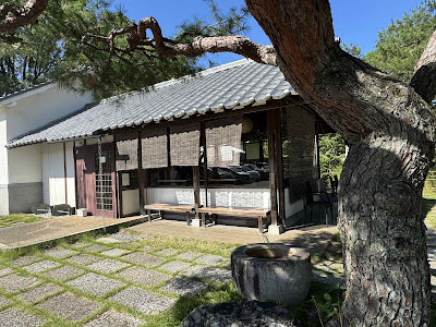 醍醐cafe＆bar 사진 3