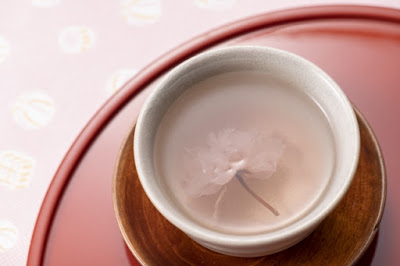 憲深林苑 花見茶席（臨時） 사진 5