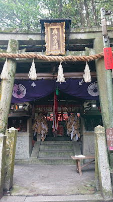 약력정 사진 5
