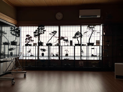 KIWAKOTO suikaen style matcha cafe 사진 4