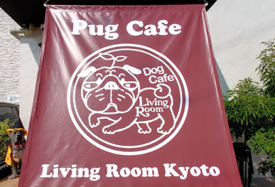 Pug Cafe Living Room Kyoto 사진 4
