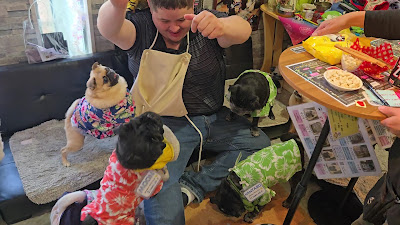 Pug Cafe Living Room Kyoto 사진 2