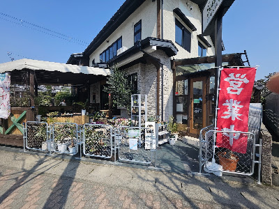 cocoPlants&Green ココプランツ&グリーン 사진 4