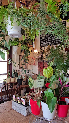 Plants Plants 사진 2