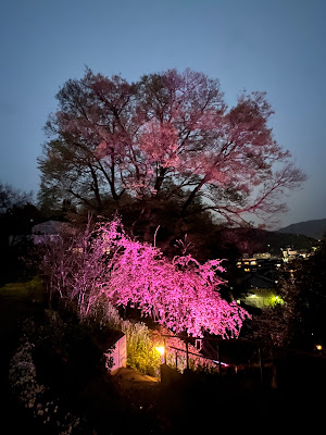 CASA SAKAWAKI 사진 2