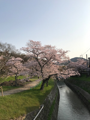 京都手をつなぐ育成会 山科工房 珈琲豆自家焙煎直売所（就労継続支援B型） 사진 4