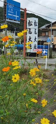 P-cafe 嵐山朝月町 사진 4