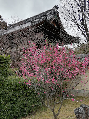 P-cafe 嵐山朝月町 사진 3