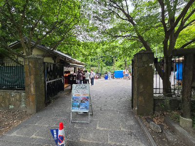 Maison Matcha Café 사진 3