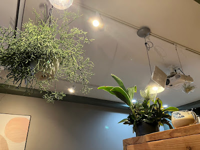 Coworking cafe & Bar Shigoto to Asobi 사진 5