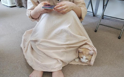 Cat's Cafe Gallery Cat's Eye 사진 3