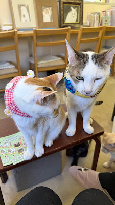 Cat's Cafe Gallery Cat's Eye 사진 4