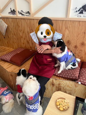 狆ペキカフェ 사진 5