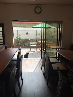 Café de Aura 사진 4