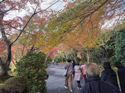 和カフェ 時の彩 사진 3