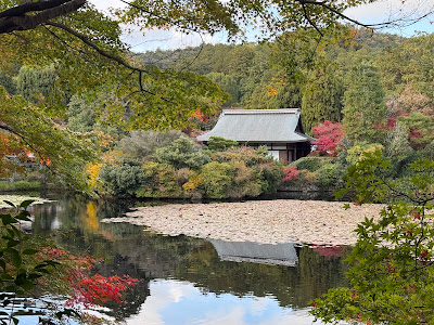 和カフェ 時の彩 사진 5