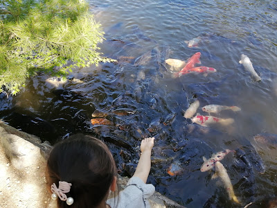 宝ヶ池公園売店 사진 2