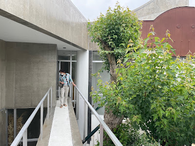 無光虹 사진 4