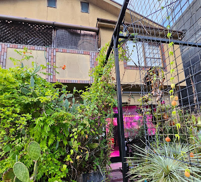 Secret Base Botanical Garden and Café Bar 사진 5