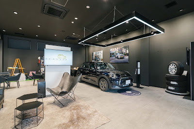 Mini 사진 5