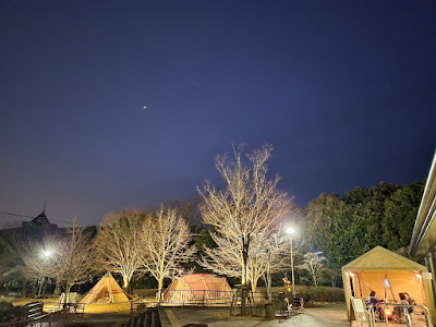 Glamping & Café Bar 사진 4
