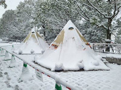 Glamping & Café Bar 사진 5