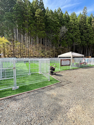 Dog cafe 사진 4