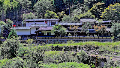 Kumogahata Forestry Comprehensive Centre 사진 4