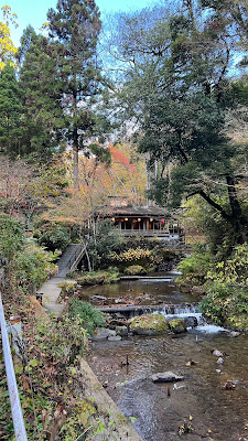 Kojinomori Forest 사진 3
