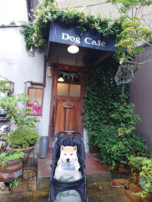 ドッグカフェ 사진 3