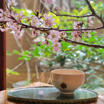 祇園菊梅 사진 4