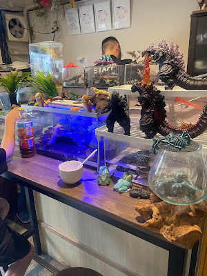爬虫類カフェ Funny Creatures Forest 嵐山店 사진 2