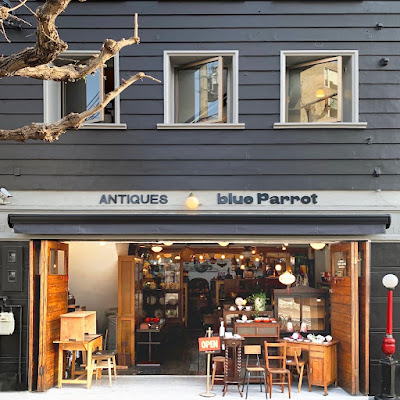 Blue Parrot 사진 2