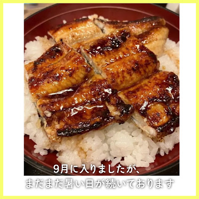 Unagi