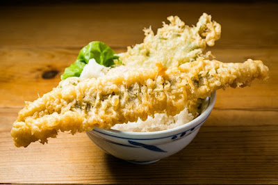 Motokame 사진 3