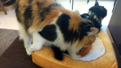 Neko Café TiME 사진 2